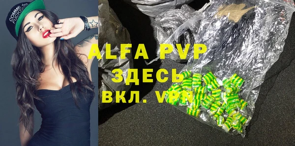 спиды Богданович