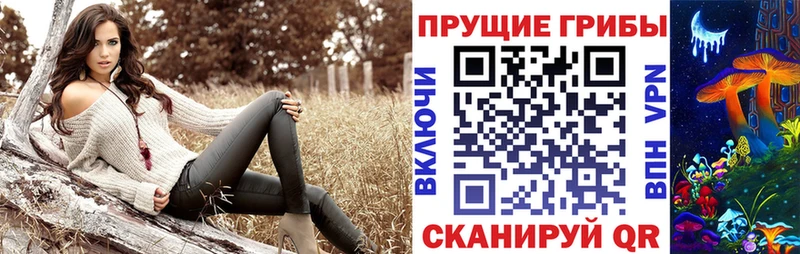 Галлюциногенные грибы прущие грибы Вилючинск